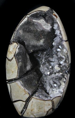 Polished Septarian Geode Sculpture #37136